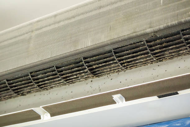 Best Affordable HVAC Duct Cleaning  in Borden, IN