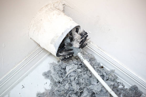 Best Ventilation Cleaning Services  in Borden, IN